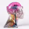 متعدد الألوان الراتنج